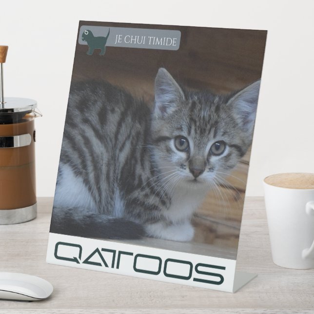 QATTOOS-PEDESTALES SIGN SOCKELSCHILD (In Situ)