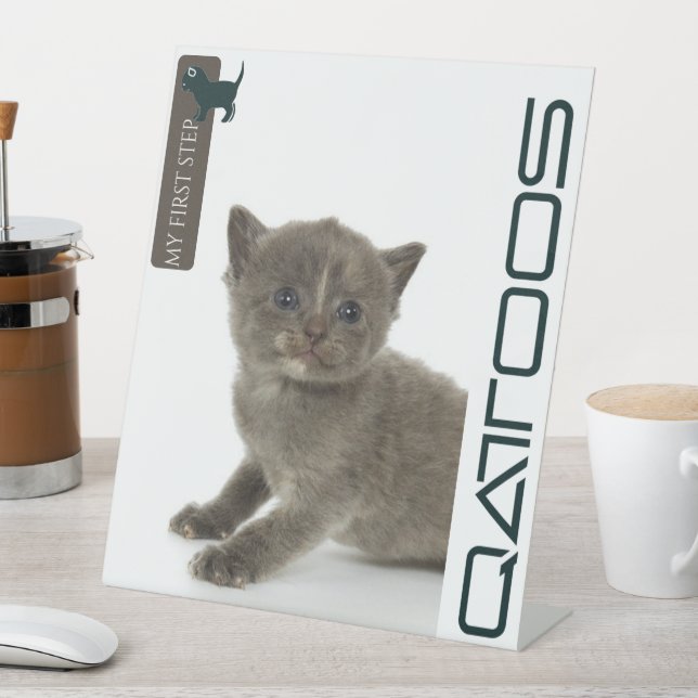 QATTOOS-PEDESTALES SIGN SOCKELSCHILD (In Situ)