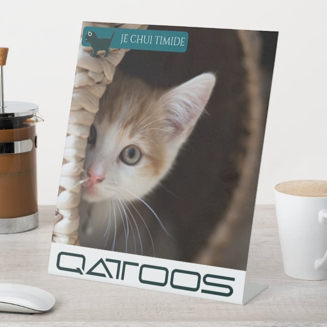 QATTOOS-PEDESTALES SIGN SOCKELSCHILD (In Situ)