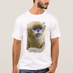 Qinling Berge, im Oktober 2006 T-Shirt