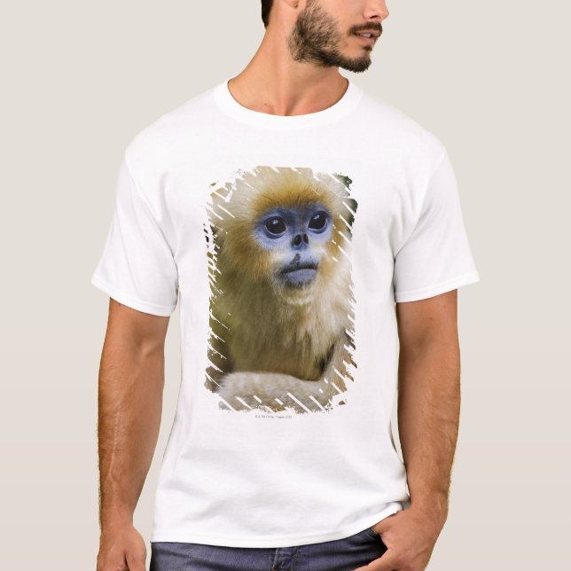 Qinling Berge, im Oktober 2006 T-Shirt (Vorderseite)