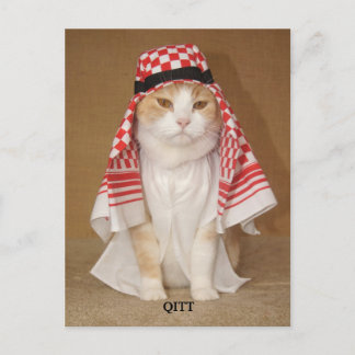 QITT/CAT POSTKARTE
