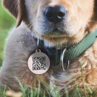 QR-Code | Blush Pink Dog Cat If Lost Scannable