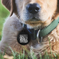 QR-Code | Modernes schwarzes Scannable wenn verlor