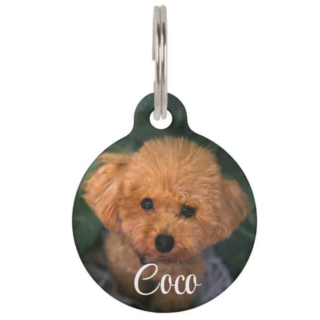 QR-Code-Name Pet-Tag Haustiermarke (Vorderseite)