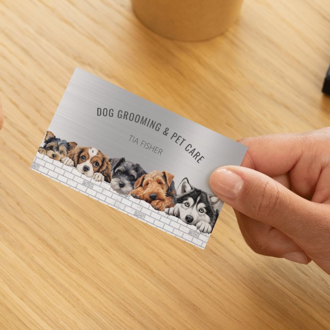 QR Code Social Media Pet Sitter für Hunde wachsen Visitenkarte (Von Creator hochgeladen)