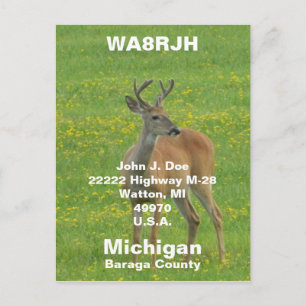 QSL PCs HAM Radio Op Frühjahr Buck Whitetail Hirsc Postkarte