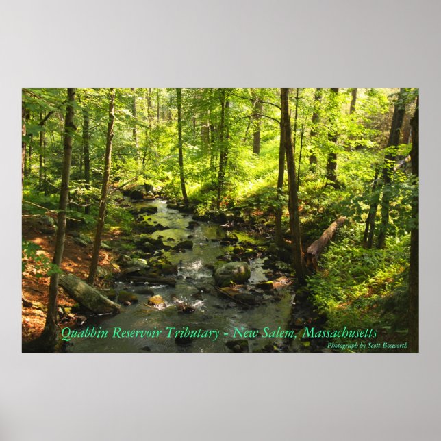 Quabbin Reservoir Tributary Poster (Vorne)