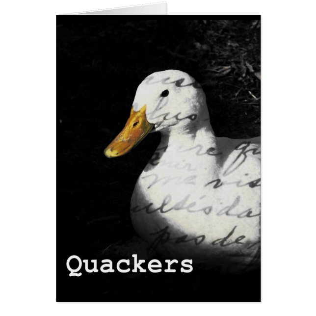 Quacker (Vorne)