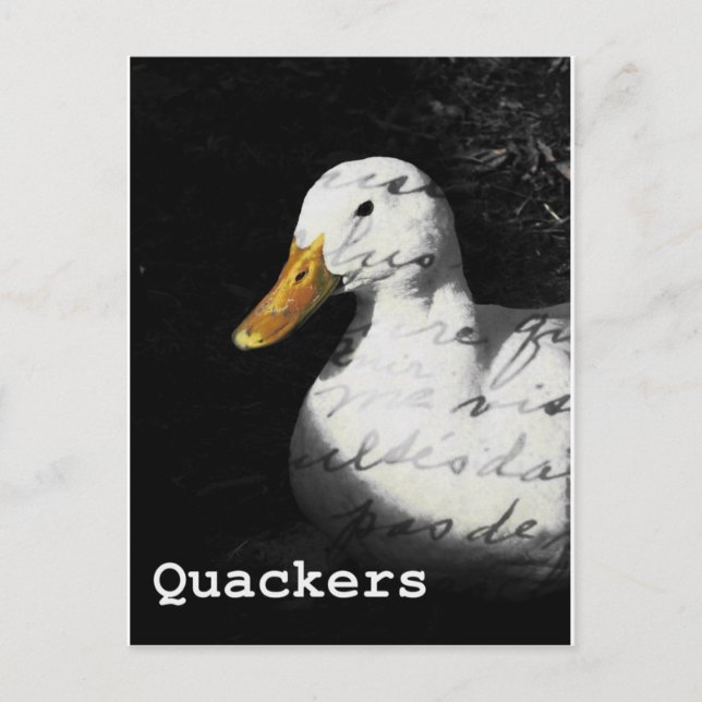 Quacker Postkarte (Vorderseite)