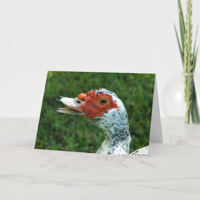 Quackity Quaken sprechen nicht zurück Karte (Vorderseite)