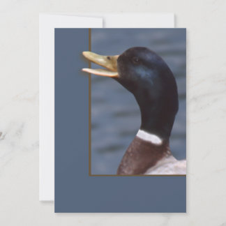 Quackup