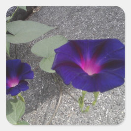 Quadrat-Glossar-Blumenaufkleber Quadratischer Aufkleber