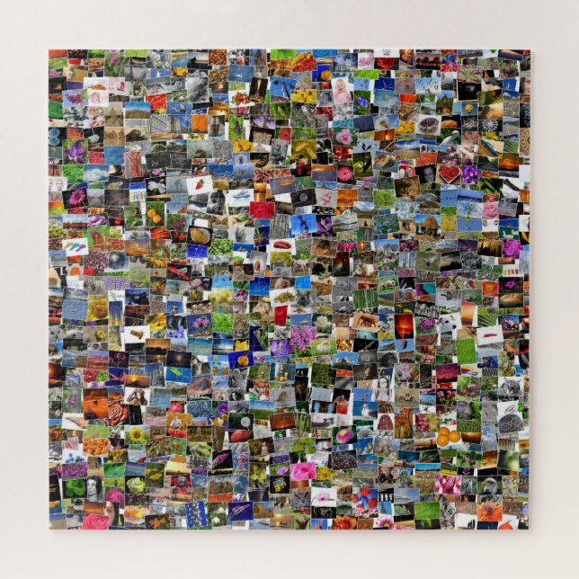 quadratische Collage von Fotos und Bildgestaltung, Puzzle (Horizontal)