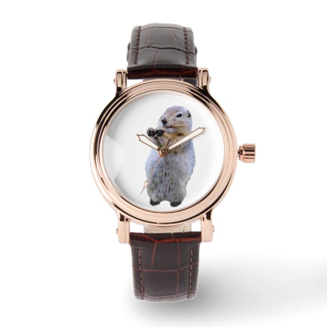 Quadratische Damenuhr mit braunem Lederarmband Armbanduhr (Vorderseite)