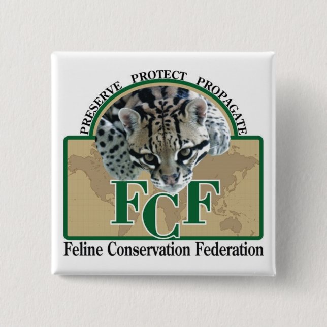 Quadratische Knöpfe Button (Vorderseite)