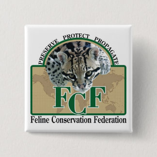 Quadratische Knöpfe Button