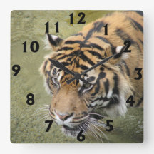 Quadratische Tiger-Uhr