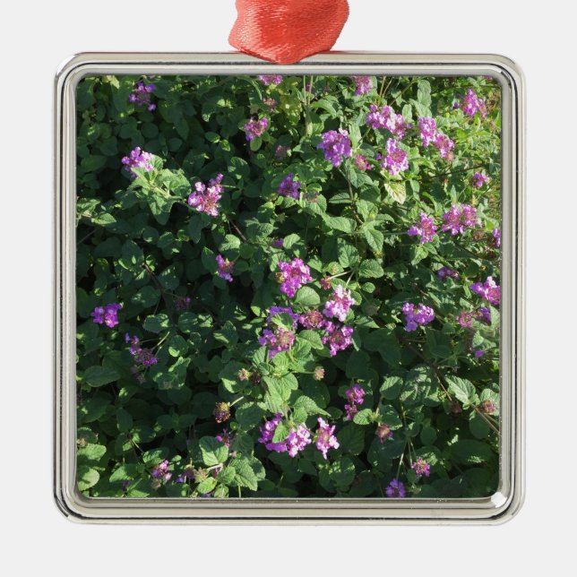 Quadratische Verzierung Silbernes Ornament (Vorne)