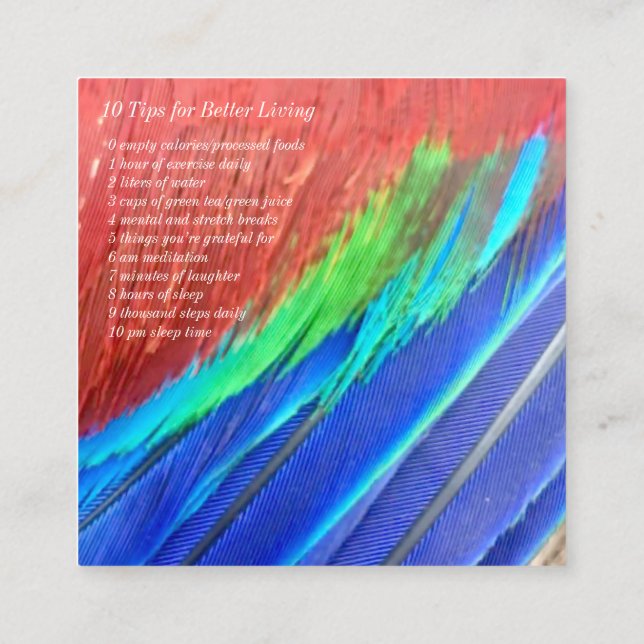 Quadratische Visitenkartefront und -rückseite Quadratische Visitenkarte (Rückseite)