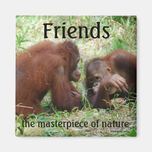 Quadratischer Magnet der Freunde