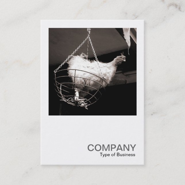 Quadratisches Foto 086 - Huhn im Korb Visitenkarte (Vorderseite)