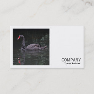 Quadratisches Foto (v2) - Black Swan Visitenkarte