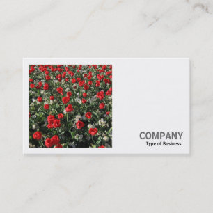 Quadratisches Foto (v2) - Rote Tulpen und Primeln Visitenkarte