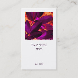 Quadratisches weißes Porträt Choisya Herbstes 3 Visitenkarte