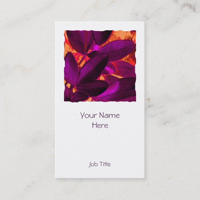 Quadratisches weißes Porträt Choisya Herbstes 3 Visitenkarte (Vorderseite)