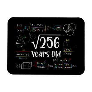 Quadratwurzel 256 16. Geburtstag 16 Jahre alte Ges Magnet