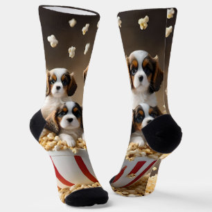 Quads Cavalier Spaniel Welpen im Popcorn, Socken