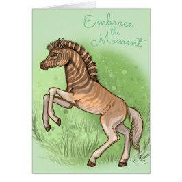 Quagga "Embrace the moment"