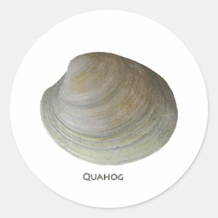 Quahog Clam Runder Aufkleber