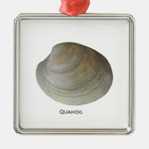 Quahog-Muschel Silbernes Ornament
