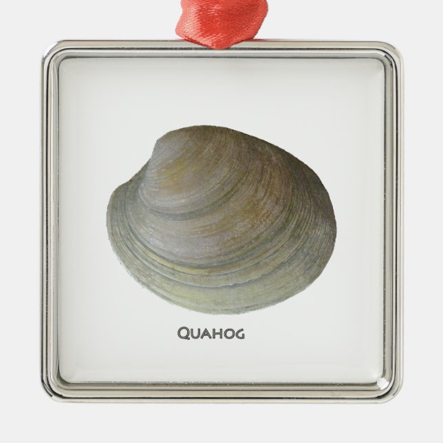 Quahog-Muschel Silbernes Ornament (Vorne)