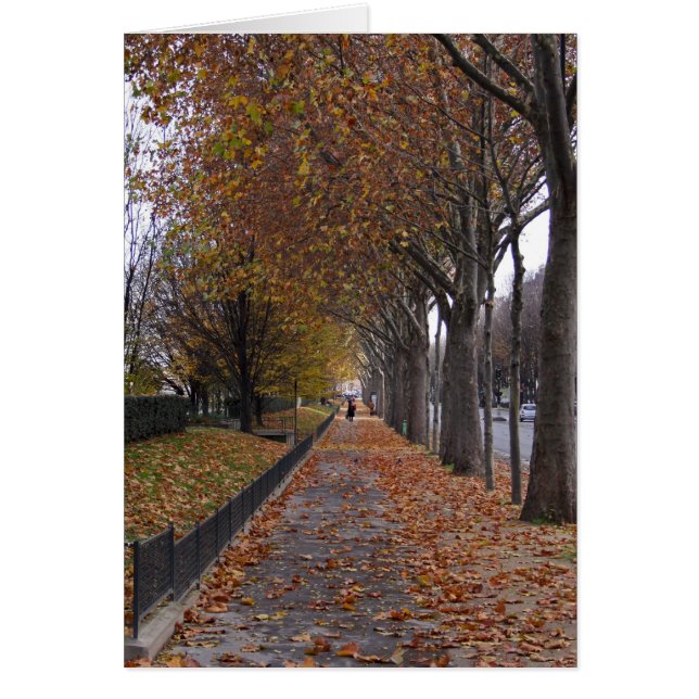 Quai d'Orsay (Vorne)