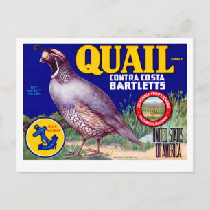Quail Brand Contra Costa Bartletts Postkarte