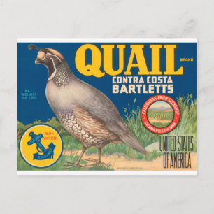 Quail Brand Contra Costa Bartletts Postkarte