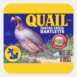 Quail Brand Contra Costa Bartletts Quadratischer Aufkleber