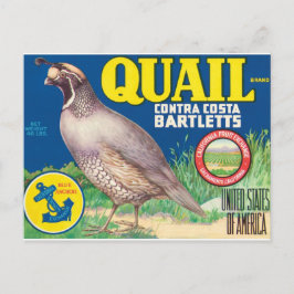 Quail Contra Costa Bartletts Sacramento Kalifornie Postkarte