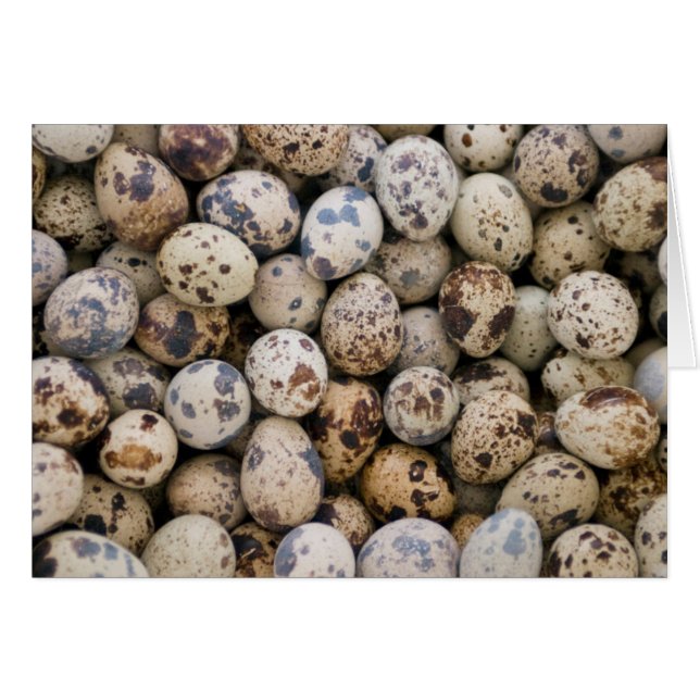 Quail Eggs, Huaraz, Cordillera Blanca, Ancash (Vorderseite (Horizontal))