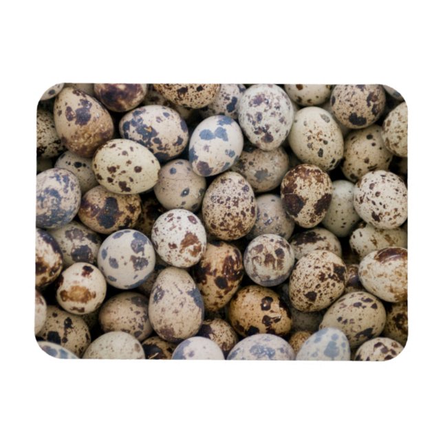 Quail Eggs, Huaraz, Cordillera Blanca, Ancash Magnet (Horizontal)