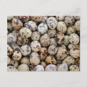 Quail Eggs, Huaraz, Cordillera Blanca, Ancash Postkarte