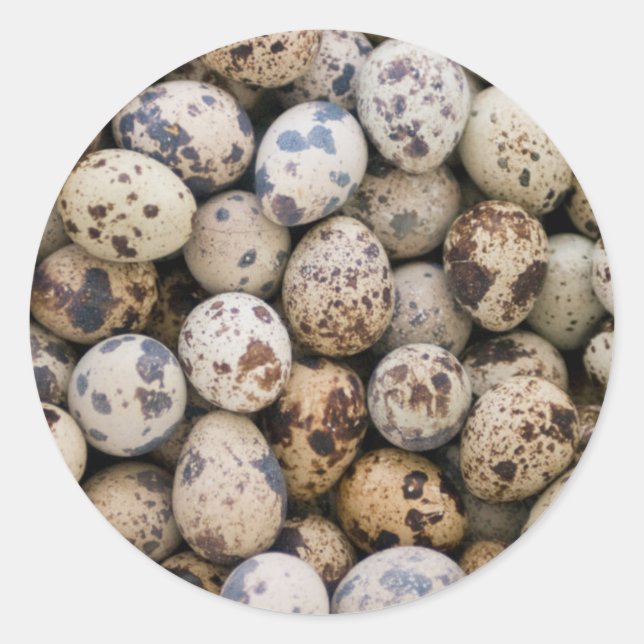 Quail Eggs, Huaraz, Cordillera Blanca, Ancash Runder Aufkleber (Vorderseite)
