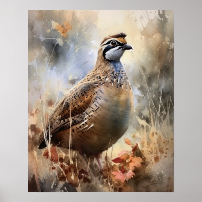 Quail Farm Animal Art Print Poster (Vorne)