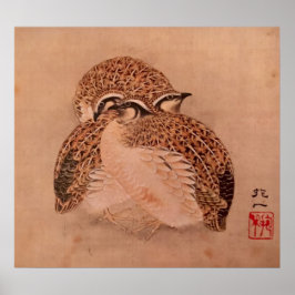 Quail Trio Poster