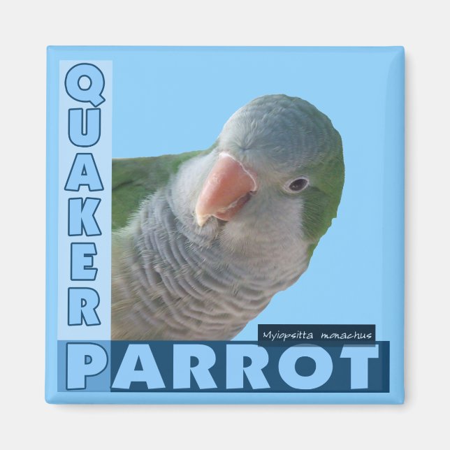 Quaker Parakeet Foto Magnet (Vorne)