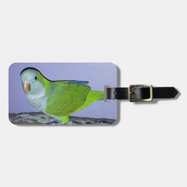 Quaker Parrot Gepäckanhänger (Vorderseite horizontal)