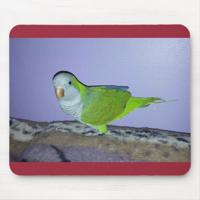 Quaker Parrot Mousepad (Vorne)